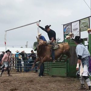 Meet your Posher, Jake